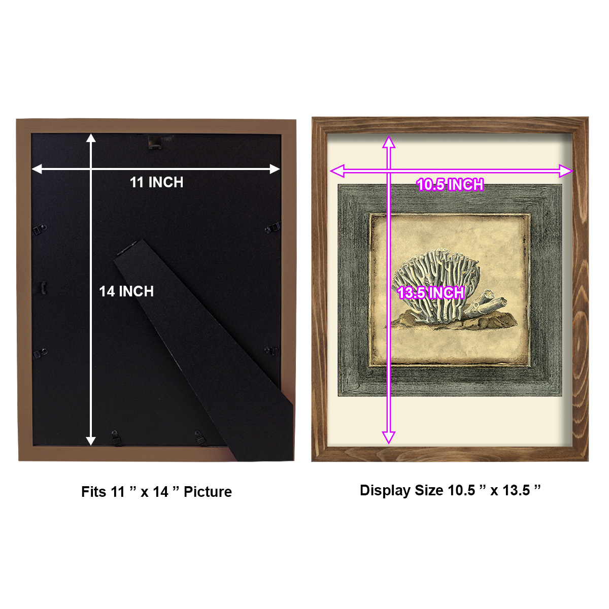Mini Exotic Coral IX (U) - Framed Print w/glass - Walnut