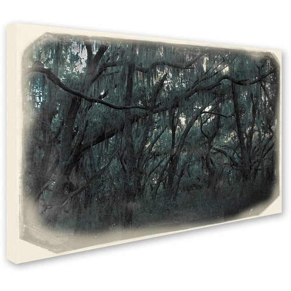 Trademark Fine Art "Forest Dreams" Canvas Art by Patty Tuggle