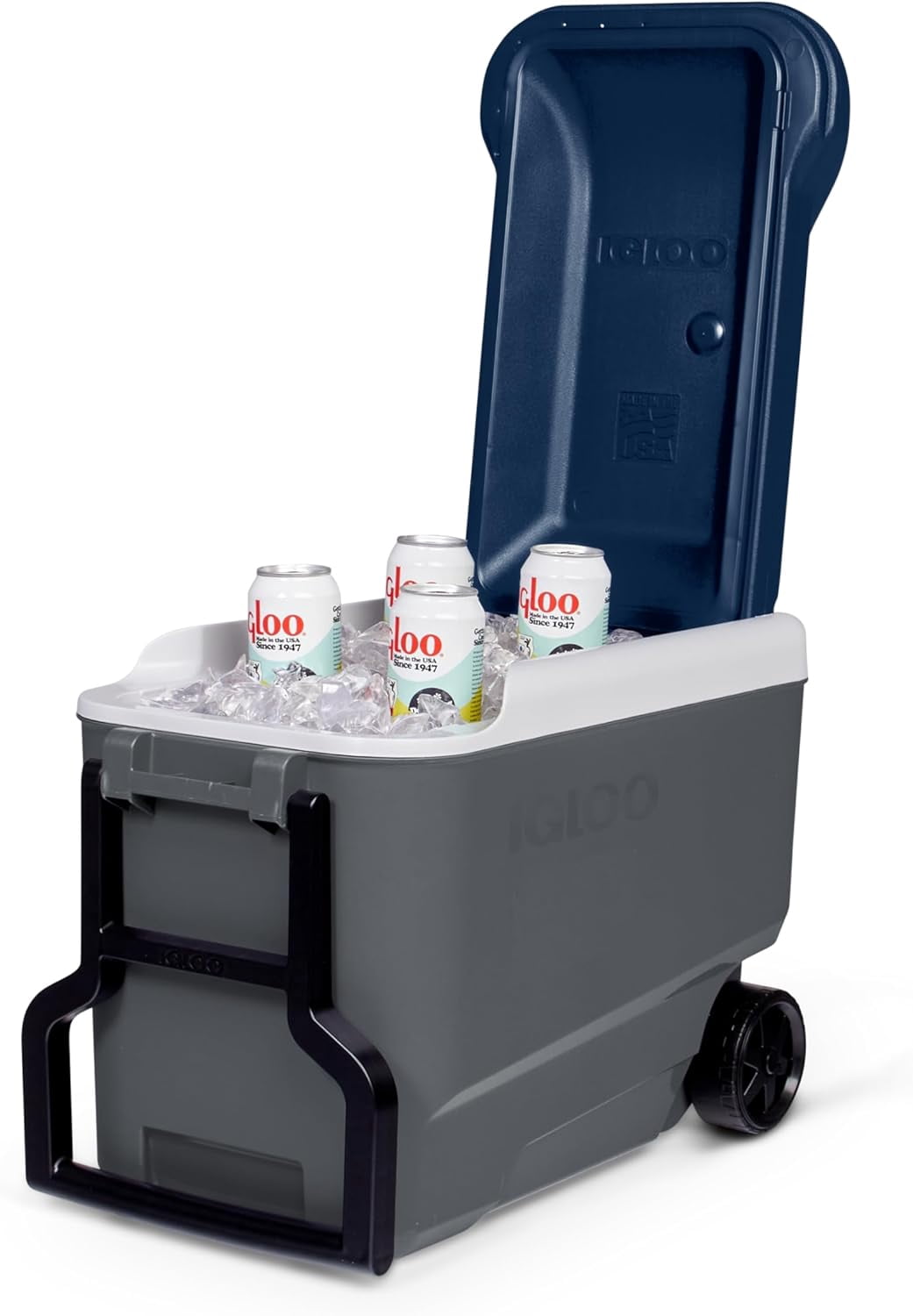 Igloo Maxcold 40 Roller (Ash Gry.Wht.Aegean Sea.Blk) 00034814, 38 Litre