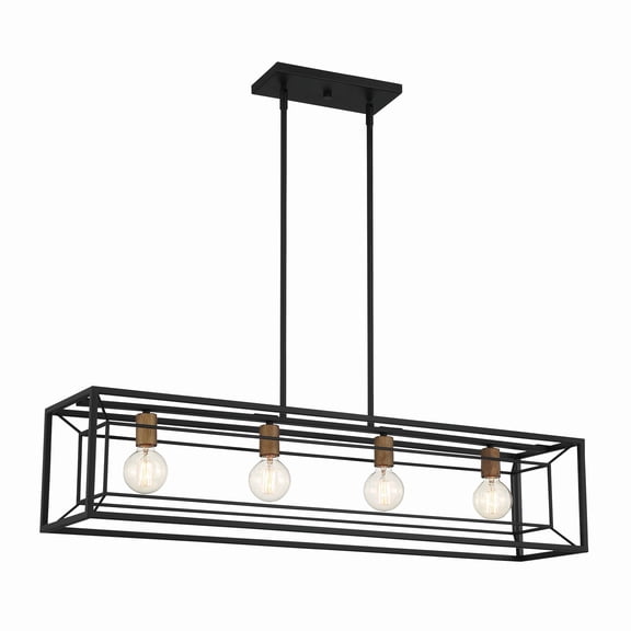 Designers Fountain Within 4 Light Matte Black Island Pendant, D237M-IS-MB
