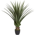 thumbnail image 1 of Nearly Natural Agave à Pointes 4 Pieds Vert, 1 of 7