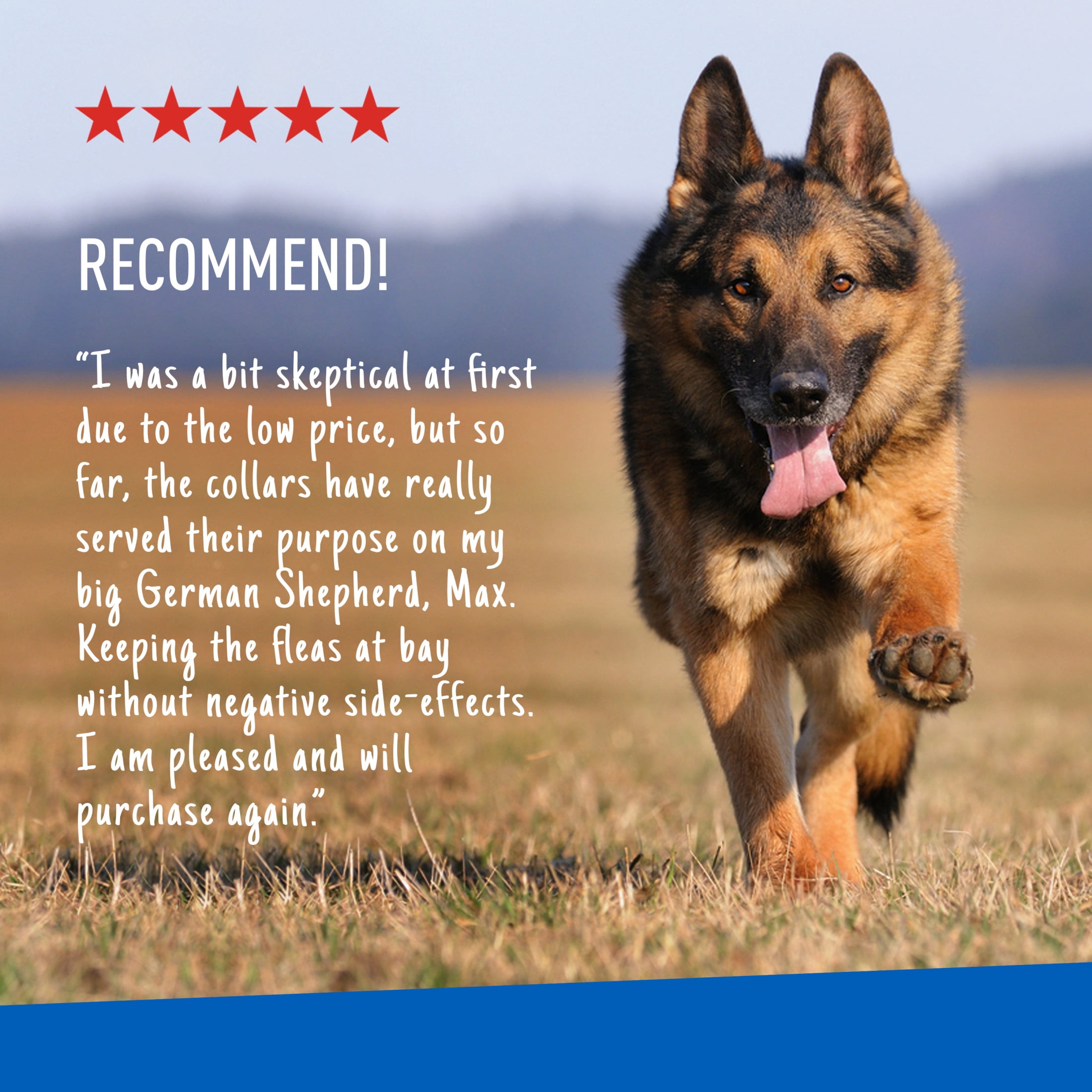 ADAMS Flea & Tick Control Collar for Dogs, 7-Month Protection, Adjustable Collar Fits Dogs & Puppies, Kills Fleas & Ticks