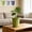 3Pcs Breathable Rhizome Pruning Planter Under $5 a1, variant on Usloyux Thickened Plastic Flowerpot Rhizome Pruning Breathable Design Round Planter for Houseplants, Root Control Plants Containers Root Rot Water Stagnation, Indoor Outdoor Patio Balcony Garden