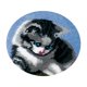 thumbnail image 1 of Kits de hilo para ganchillo DIY, kit de aguja de cierre, kits de hilo para ganchillo de alfombras, aguja de cierre gato gris, 1 of 9