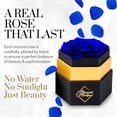 thumbnail image 2 of GLAMOUR BOUTIQUE Single Forever Blue Rose Box - Preserved Roses in a Box, Immortal Roses in a Box That Last A Year - Eternal Rose Preserved Flowers for Delivery Prime Mothers & Valentines Day Gift, 2 of 9