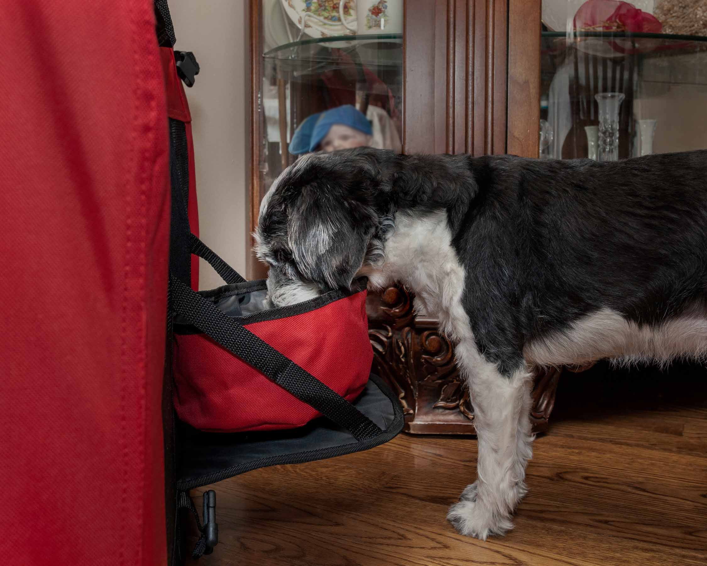 Folding Deluxe 360Â° Vista View House Pet Crate