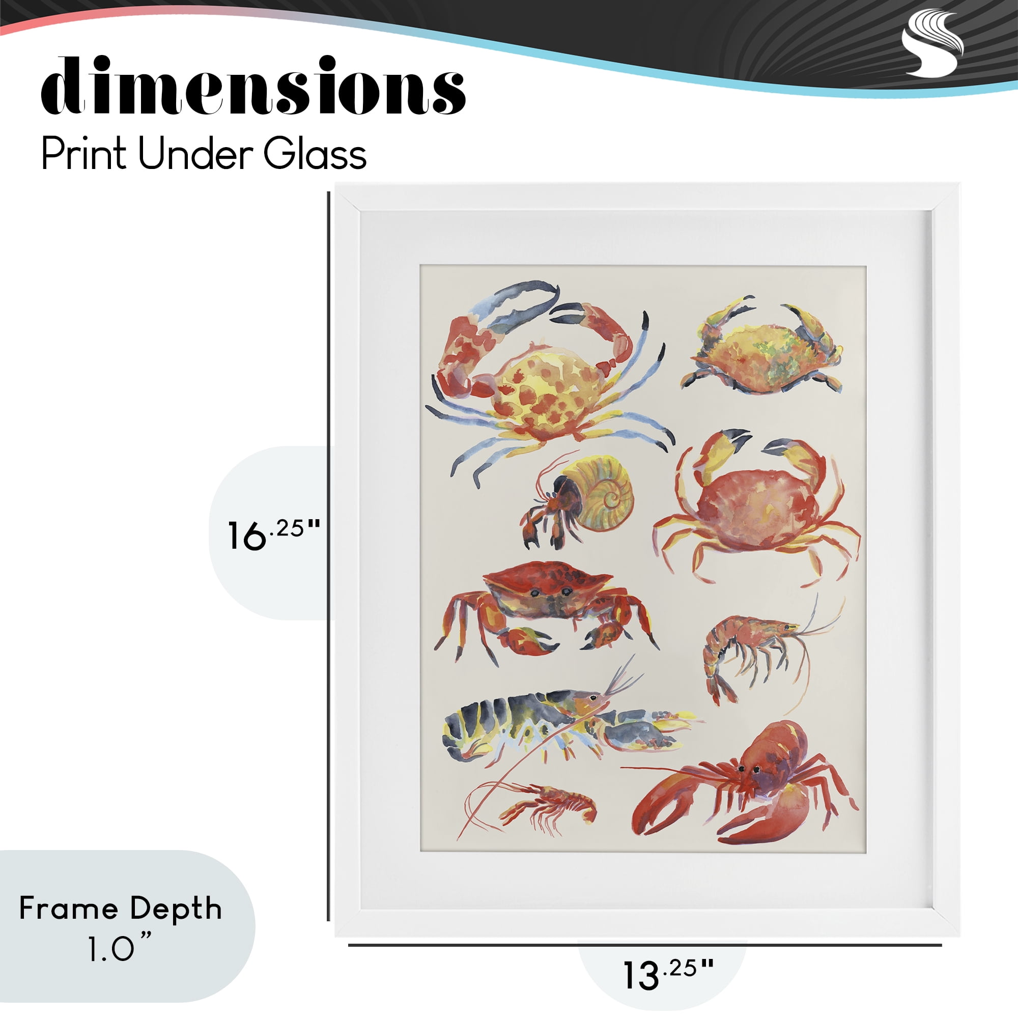Stupell Industries Nautical Crustacean Collection White Framed Print Under Glass, design by June Erica Vess
