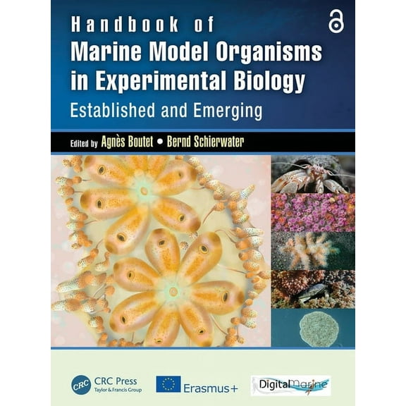Handbook of Marine Model Organisms in Experimental Biology: Established and Emerging, (Paperback)