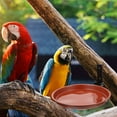thumbnail image 3 of Outdoor Bird Feeder Drinking Baths for Outdoors Accessories Wild Hanging Birds Feeding Bowl Tray, 3 of 6