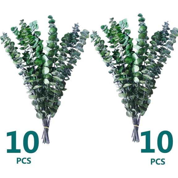 20 Pcs Preserved Dried Eucalyptus Stems, Dried Eucalyptus for Shower, 17 '' Preserved Eucalyptus Leaves,Real Plant for Vase Filler, Dried Flowers Arrangement, Floral Home Decor