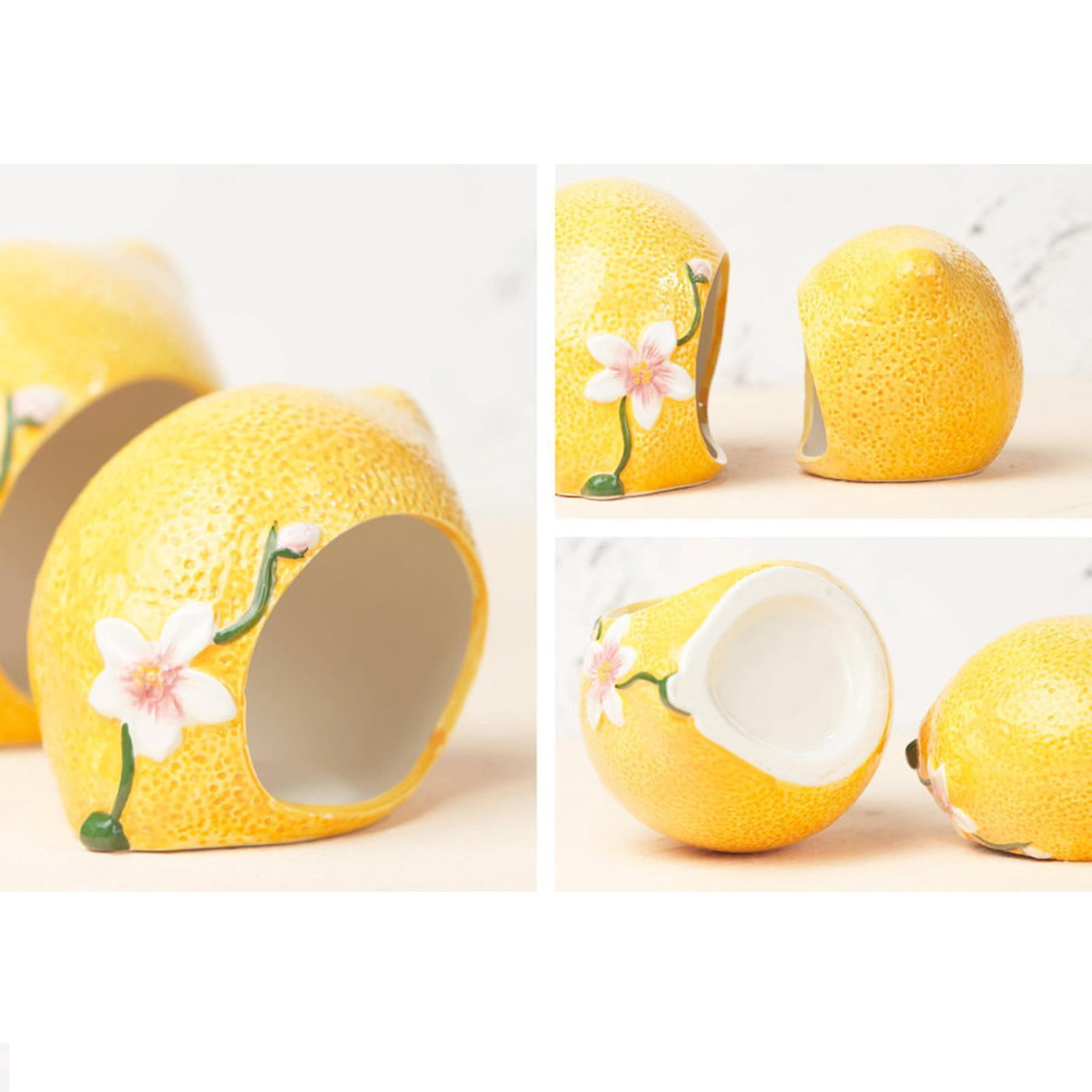 Bothyi Hamster House, Caumon Shape Cave Cave Hamster Cage Accessories, Nest Habitat Hut Cage Small Animal Hideout for Petit Hamster Pour Pets De Pets Large