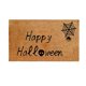 thumbnail image 1 of Bienvenida, Felpudo Antideslizante Para Puerta, Felpudo De Entrada De Halloween Para Decoración Interior Y Exterior Advancent HA044324-01, 1 of 6