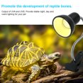 thumbnail image 3 of Muyoka Lámpara de calor de tortuga Reptiles Lámpara de terrario Lámpara de calentamiento de reptiles Lámpara de punto de calor UVA Muyoka Hogar, 3 of 7