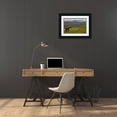 thumbnail image 3 of Illg, Cathy and Gordon 14x11 Black Ornate Wood Framed with Double Matting Museum Art Print Titled - Iceland, Skaftafell NP Icelandic horse, 3 of 4