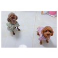 thumbnail image 4 of Ropa De Algodón Arcoíris Para Perros, Camiseta Para Mascotas De Otoño E Invierno, Suministros Encantadores Para Mascotas A La Moda Methold PT002321-06, 4 of 6