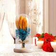 thumbnail image 1 of Regalos de flores para iluminar flores en cúpula de cristal, regalos del Día de San Valentín, lámpara LED de mesa para cafetería, fiesta, aniversario azul Yinane lámpara de noche, 1 of 8