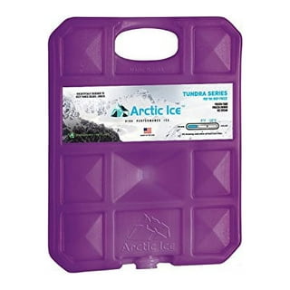 Arctic Ice Tundra Series Medium Freezer Pack (Plus 5-degree F) 1203 - The  Home Depot