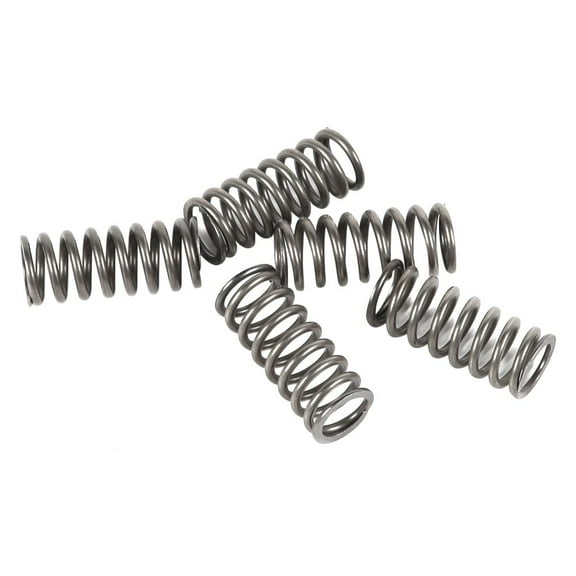 EBC CSK101 - CSK Series Heavy Duty Clutch Spring Kit