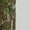 Mossy Oak Green Leaf, variant on Nomad Ambush Pants Mossy Oak Green Leaf LARGE