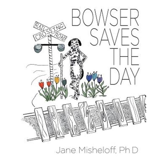 Pre-Owned Bowser Saves the Day, (Paperback)