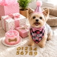 thumbnail image 5 of Dog Birthday Party Supplies, Multicolor Themed Set with Bandana, Hat, Bow & Banner, Adjustable Size Dog Birthday Decorations for Dogs-(C 1), 5 of 7