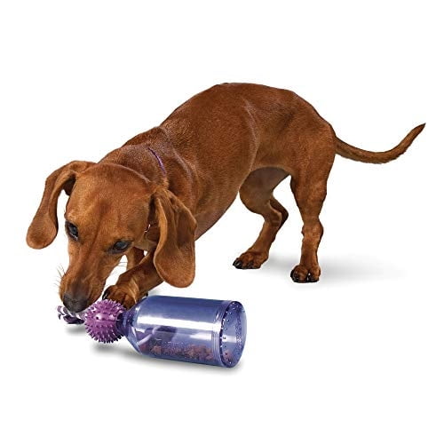 Juguete dispensador de comida para perros PetSafe Busy Buddy Tug-A-Jug