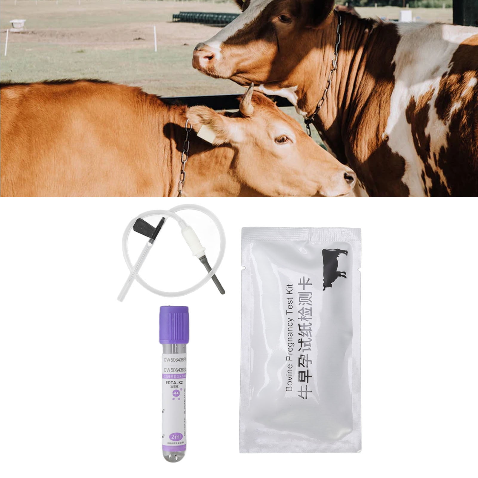 Cow Pregnancy Test Card Kit, Simple Operation Professional Cow Pregnant Cow Pregnancy Test Card Kit, Simple Operation Professional Cow Pregnant