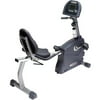 Endurance Manual Recumbent Bike w 15-Level Resistance