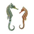 thumbnail image 1 of Next Innovations 2-Piece Sea Horse Refraxions 3D Wall Art Set, 8.5 by 19-Inch and 6 by 15.5-Inch, 1 of 1