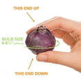 thumbnail image 5 of Garden State Bulb Giant Mixed Hyacinth Flower Bulbs, 15/16cm, Fragrant (Bag of 50), 5 of 8