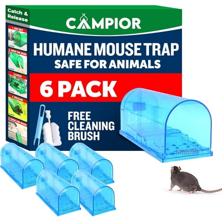 Campior Humane No-Kill Mouse Trap, Large, Indoor, Pet & Child Safe, Easy to Clean, 6-Pack, Blue