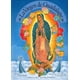 thumbnail image 1 of La Virgen de Guadalupe Cidcli 9789684940703, 1 of 2