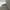 Light Grey, variant on Beberlis 19721 Velcro Wingtip Dressy Shoe