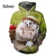 thumbnail image 3 of Sudadera con capucha con estampado 3D de animales de erizo para hombre, sudaderas con capucha para niños, lindas sudaderas con capucha, ropa unisex de moda, 3 of 4