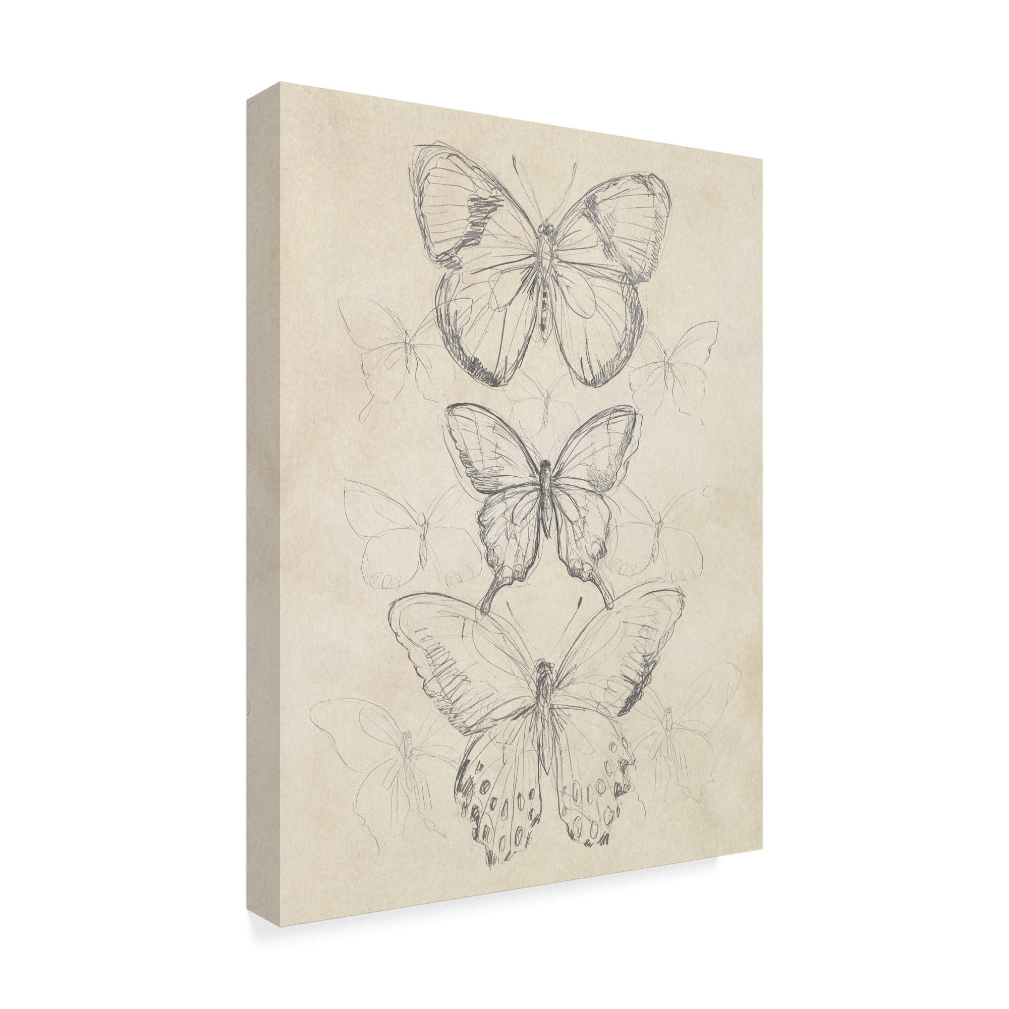 Trademark Fine Art 'Vintage Butterfly Sketch I' Canvas Art by June Erica Vess