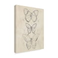 thumbnail image 2 of Trademark Fine Art 'Vintage Butterfly Sketch I' Canvas Art by June Erica Vess, 2 of 4