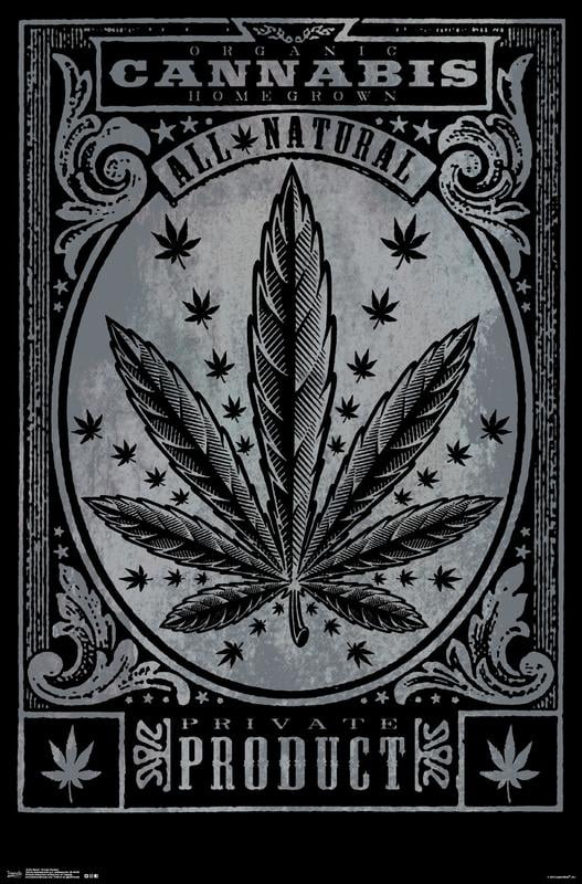 Home Grown Marijuana Varieties Weed College Laminated Poster 24.5" x 36.5" 