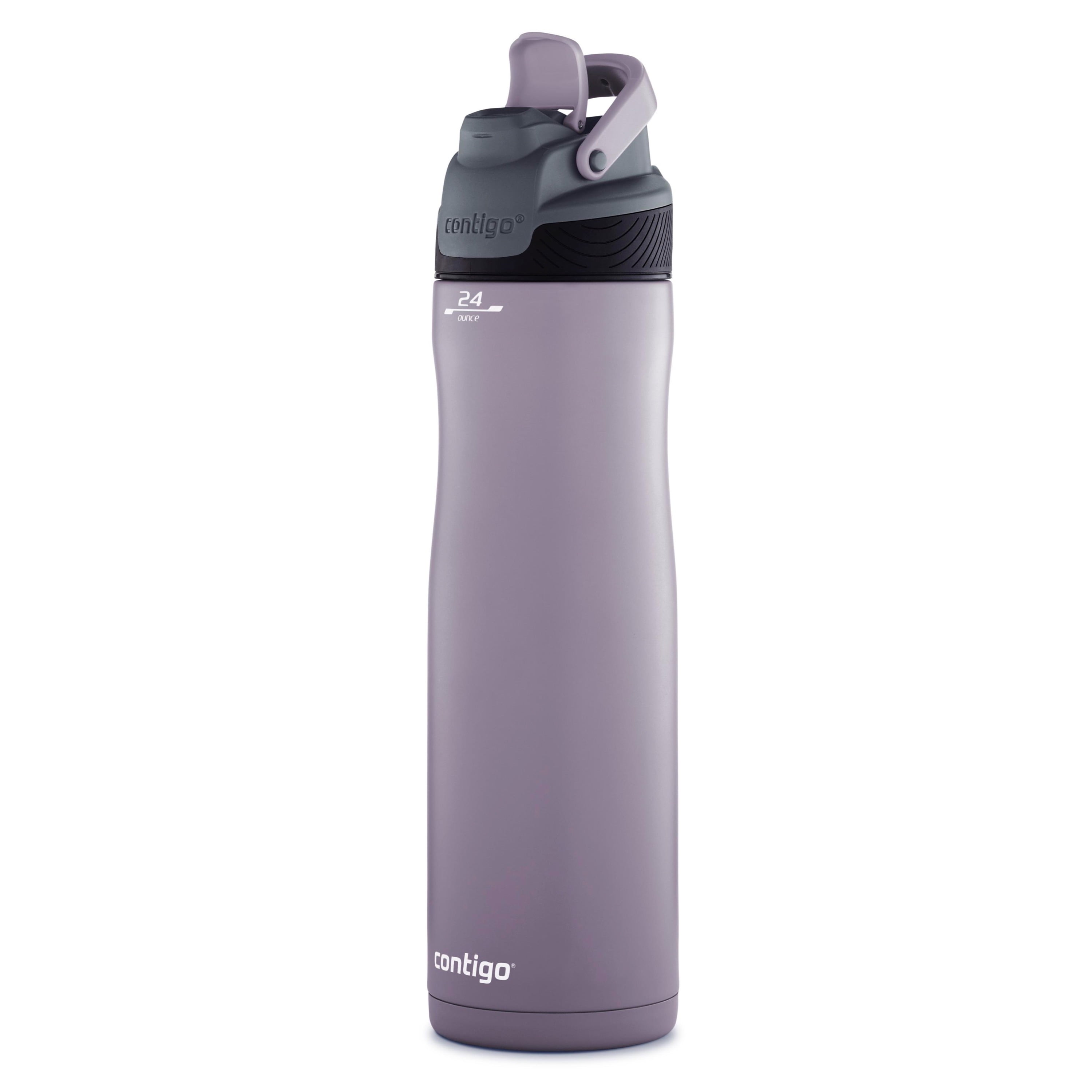 24 oz Stainless Steel Insulated Water Bottle - Purple - McClumsy