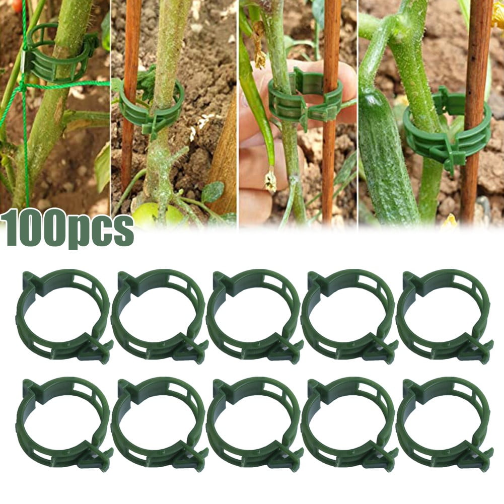 100 XL Tomato and Veggie Garden Plant Support Clips for Trellis Twine Greenhouse 