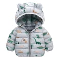 thumbnail image 4 of Adeawade Girls Coats 6-12 Months Winter Windproof Jacket Toddler Long Sleeve Dinosaur Warm Cartoon Hooded Outerwear Soft Daily Wear Grey, 4 of 4
