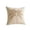 B, variant on Palm Tree Tropical Throw Pillow Covers 20x12, Hawaiian Beach Summer Decor, Vintage Coastal Coconut Leaf Outdoor Pillow Cases, Soft Decorative Cushion Covers for Bed Couch Sofa Living Room Patio Decor