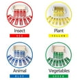 thumbnail image 3 of AMERTEER 48Pcs Microscope Slides Plastic Clear Prepared Slides with Category Label Insect Animal Plant Sample Specimens for Students Kids Biological Science Education, 3 of 10