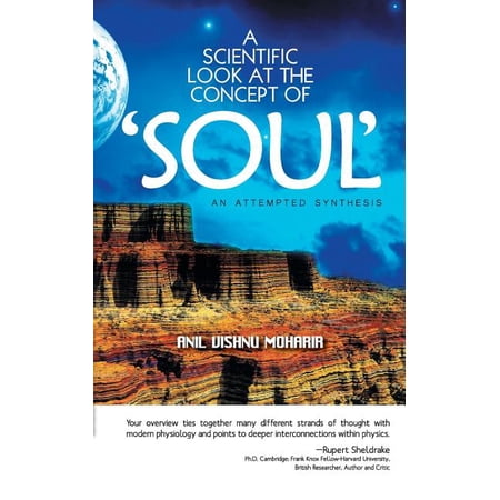 A Scientific Look at the Concept of Soul (Paperback)