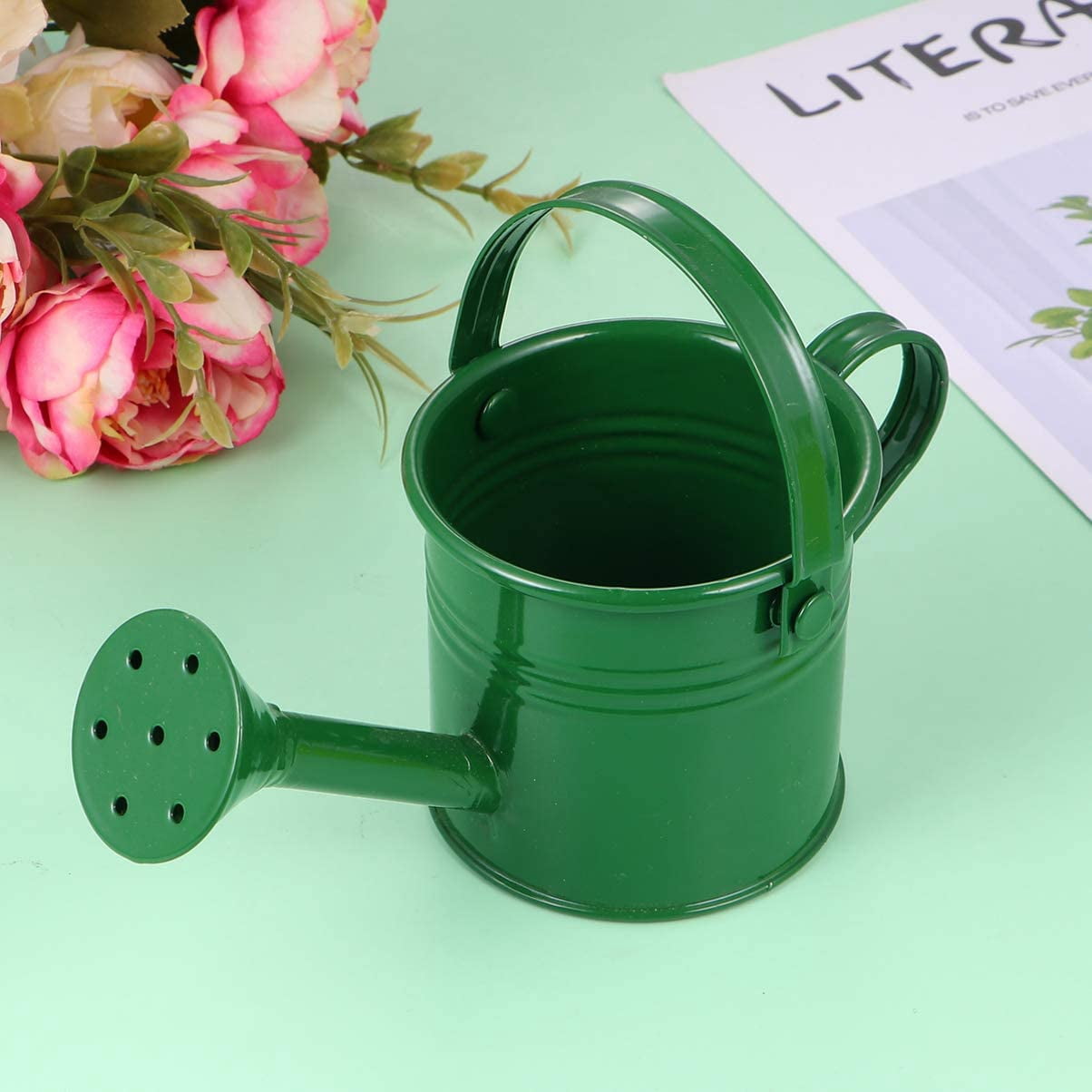 2PCS Metal Watering Can,Kids Can Small Iron Indoor Plants Sprinkling Kettle with Long Spout,Boys Girls Garden Pot for Outdoor or Play Time(Random Colors)