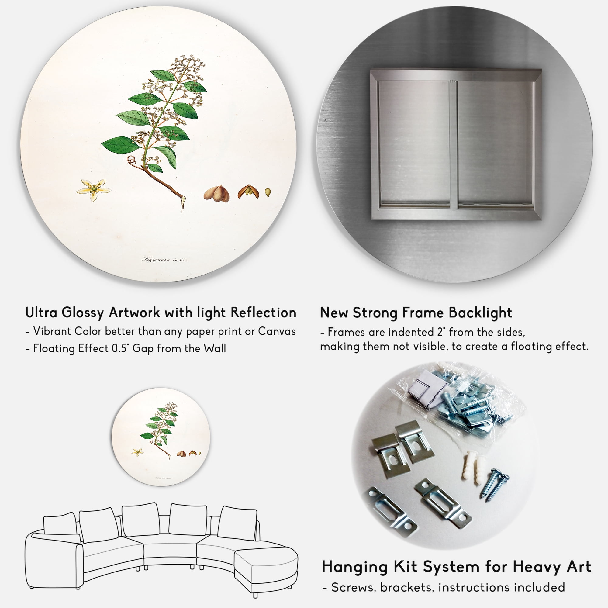 Designart 'Ancient Botanicals I' Farmhouse Circle Metal Wall Art 23x23 - Disc of 23