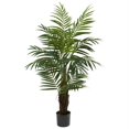 thumbnail image 1 of Palmier Areca de 4&rsquo;, 1 of 1