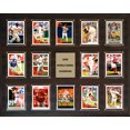 thumbnail image 1 of MLB 16"x20" Philadelphia Phillies 2008 World Series - 14-Card Plaque, 1 of 1