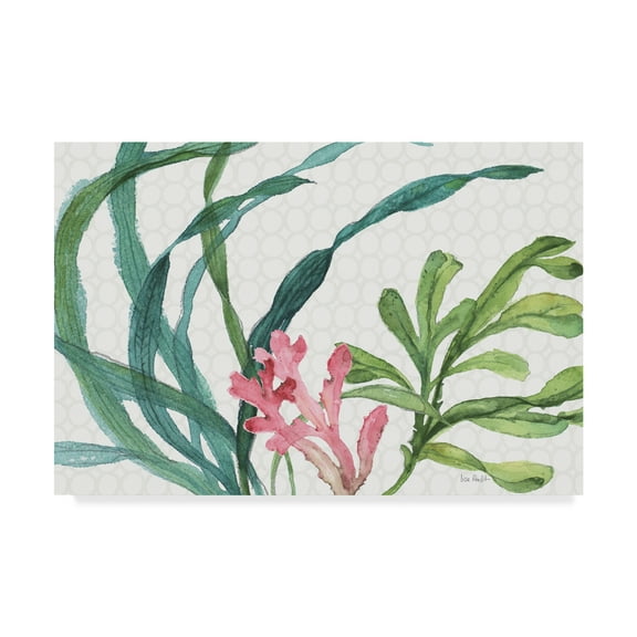 Trademark Fine Art Floral Canvas Art ' Mixed Greens Xvii ' by Lisa Audit