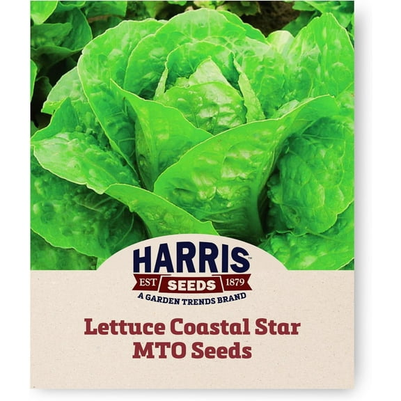 Harris Seeds - Organic Lettuce Seeds Coastal Star MTO Variety Crunchy Leaves - 50 Pelleted Seeds