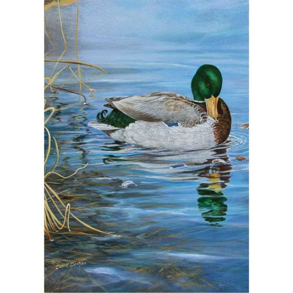 Premier Illuminated House Flag - Mallard